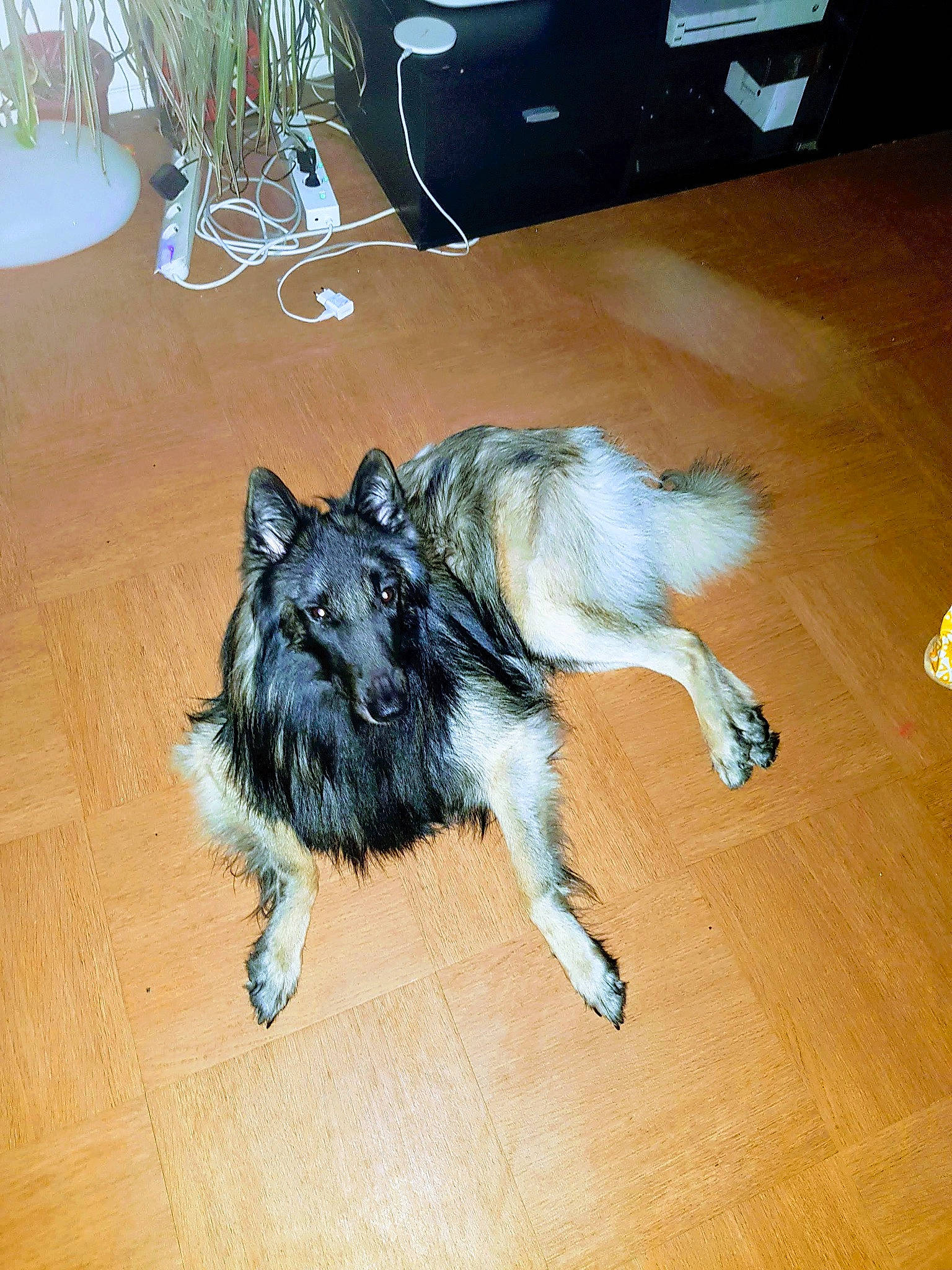 Max Papa De Patapouf