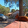 backyard, canine, car, collar, daytime, dog, fence, house, leafy, nature, outdoor, pet, picnic_table, relaxing, shadow, sunlight, tongue_out, tree, vehicle, wood