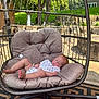 baby, sleeping, hanging_chair, cushion, outdoor, garden, stone_wall, grass, tree, sunlight, infant, relaxation, patio, foot, clothing, summer, daytime, nature, peaceful, person