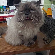 Guismo a rejoint le concours — aidez-le/la à gagner de superbes lots !