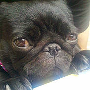 Nina a rejoint le concours — aidez-le/la à gagner de superbes lots !