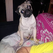 Enjoy a rejoint le concours — aidez-le/la à gagner de superbes lots !