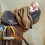 Arthur joined the competition — help win amazing prizes! baby, blanket, sleeping, leather, saddle, stirrup, brown, cozy, resting, soft, fur, child, portrait, peaceful, indoor, warm, comfort, head, hand, skin
