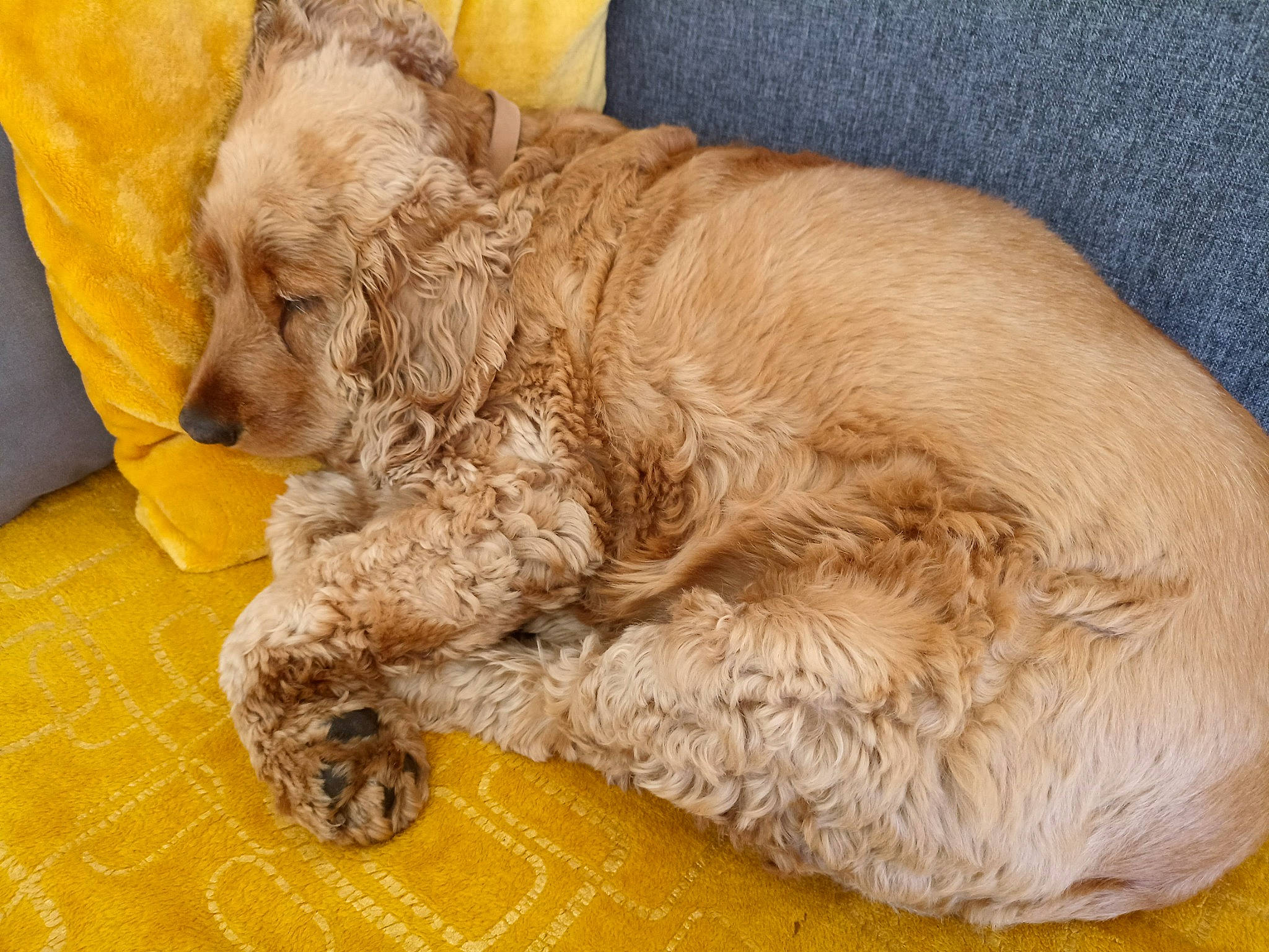 Luckie