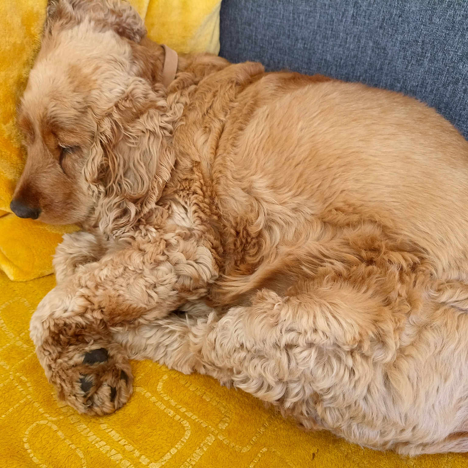 Luckie