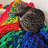 cat, tabby_cat, sleeping, blanket, crocheted_blanket, colorful, indoor, cozy, feline, resting, pet, fur, striped, knitted, soft, warm, couch, relaxed, domestic_animal, comfort