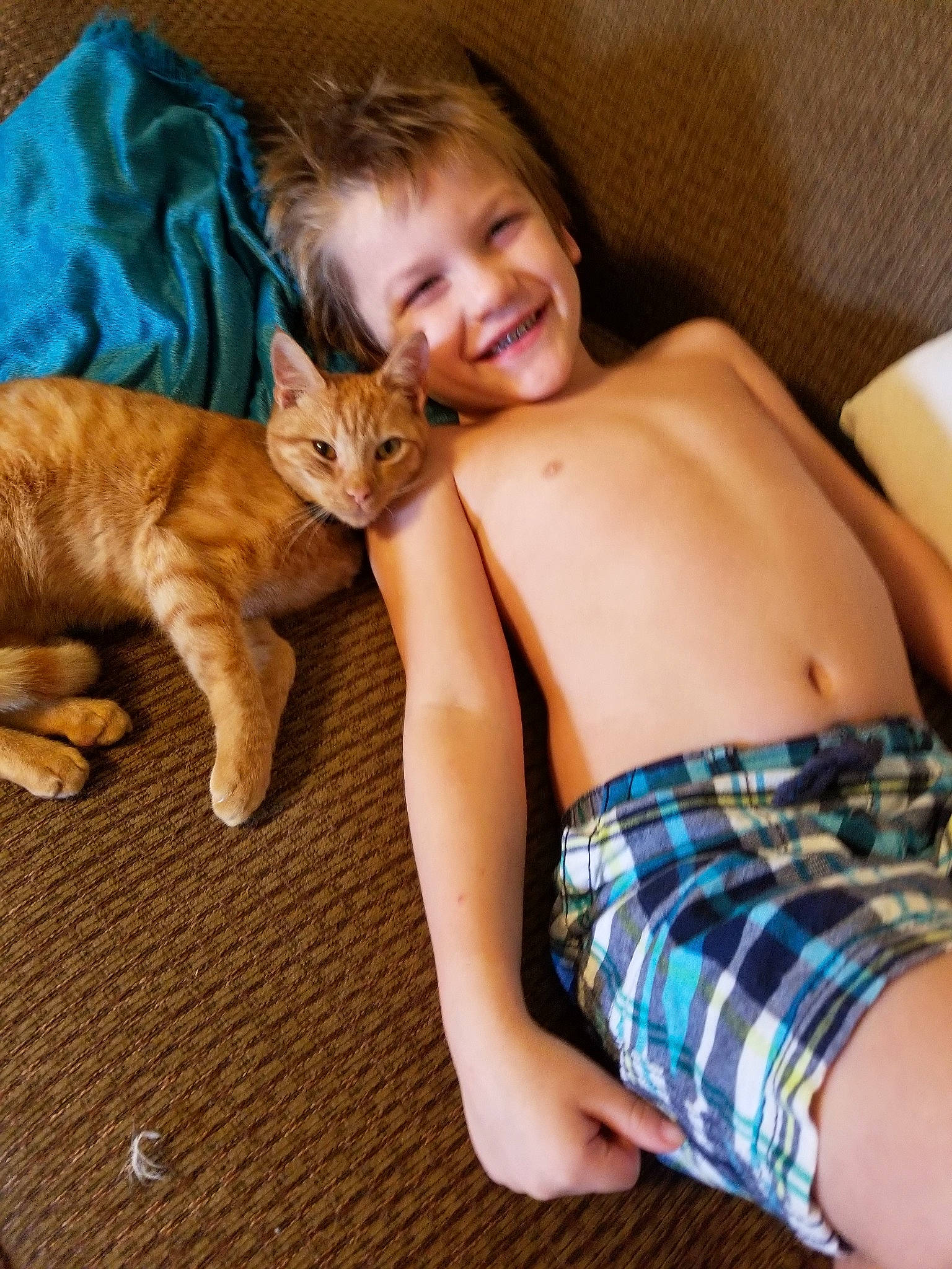 Leighton Butler joined the competition — help win amazing prizes! cat, cat_like_mammal, finger, girl, joy, kitten, nap, person, small_to_medium_sized_cats, whiskers