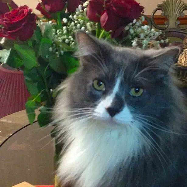 Mrgrayvtrain joined the competition — help win amazing prizes!