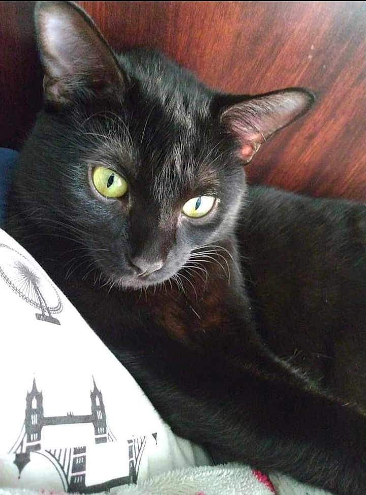 Onyx