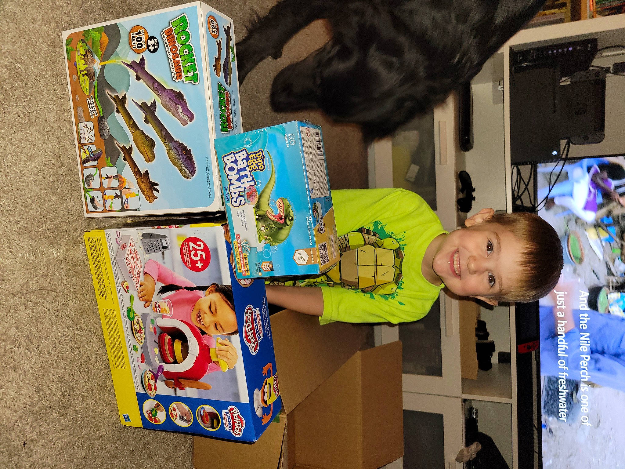 Brycen is registered to the contest to win money with this photo: art, building, child, fun, games, headwear, house, joy, leisure, person, play, publication, recreation, room, shelf, shelving, toddler, toy, visual_arts