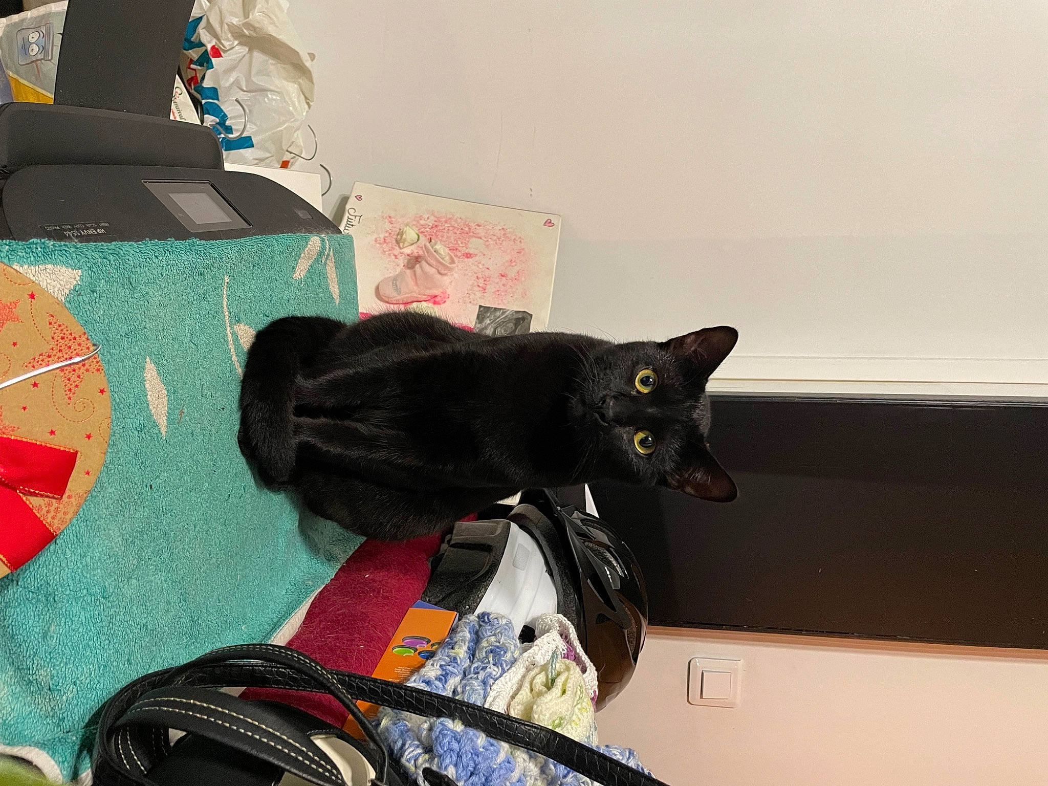 Sparrow a rejoint le concours — aidez-le/la à gagner de superbes lots ! art, black_cat, bombay, carmine, carnivore, cat, domestic_short_haired_cat, felidae, flooring, paint, room, small_to_medium_sized_cats, tail, visual_arts, whiskers