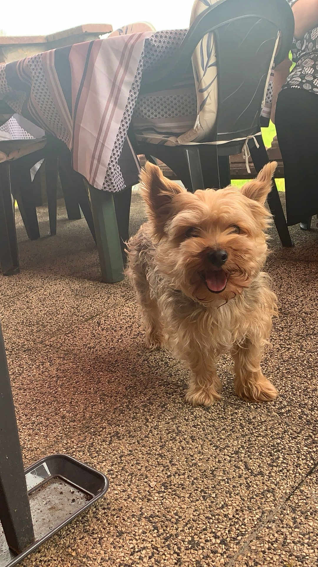 Marley