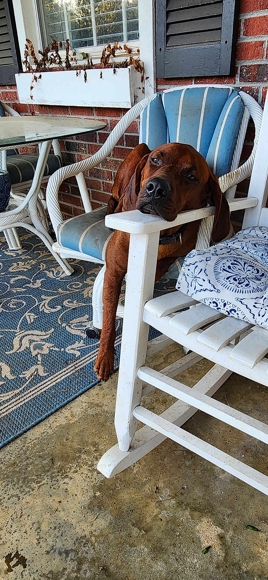 Boudreaux