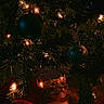 cat, christmas_tree, christmas_lights, ornaments, holiday, festive, decorations, orange_cat, curious, indoor, pet, animal, glowing, night, closeup, greenery, red_fabric, warm_light, celebration, cozy