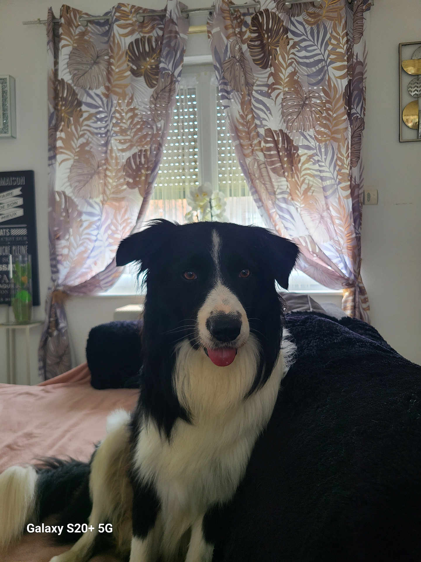 Romeo