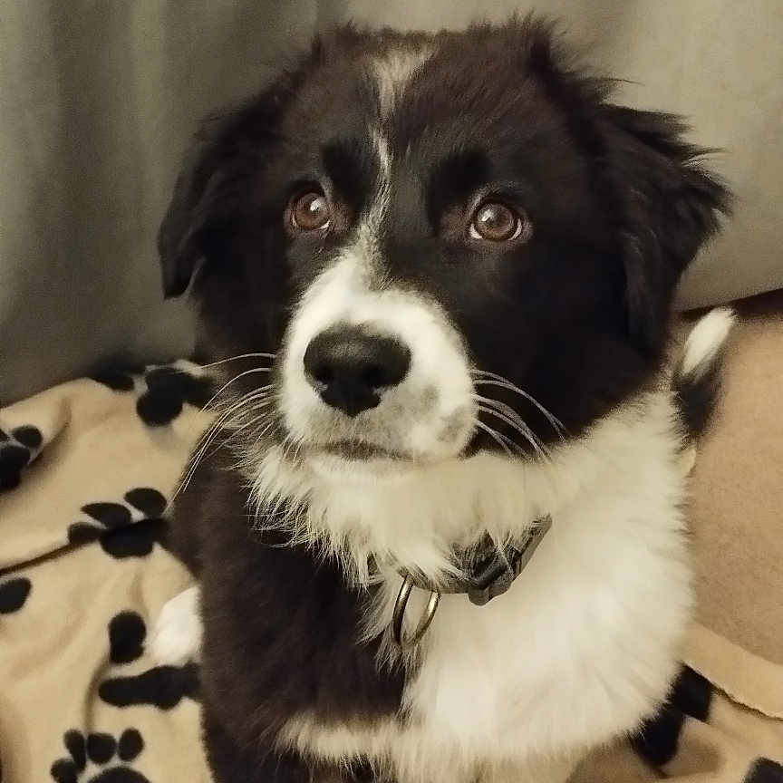 Sam