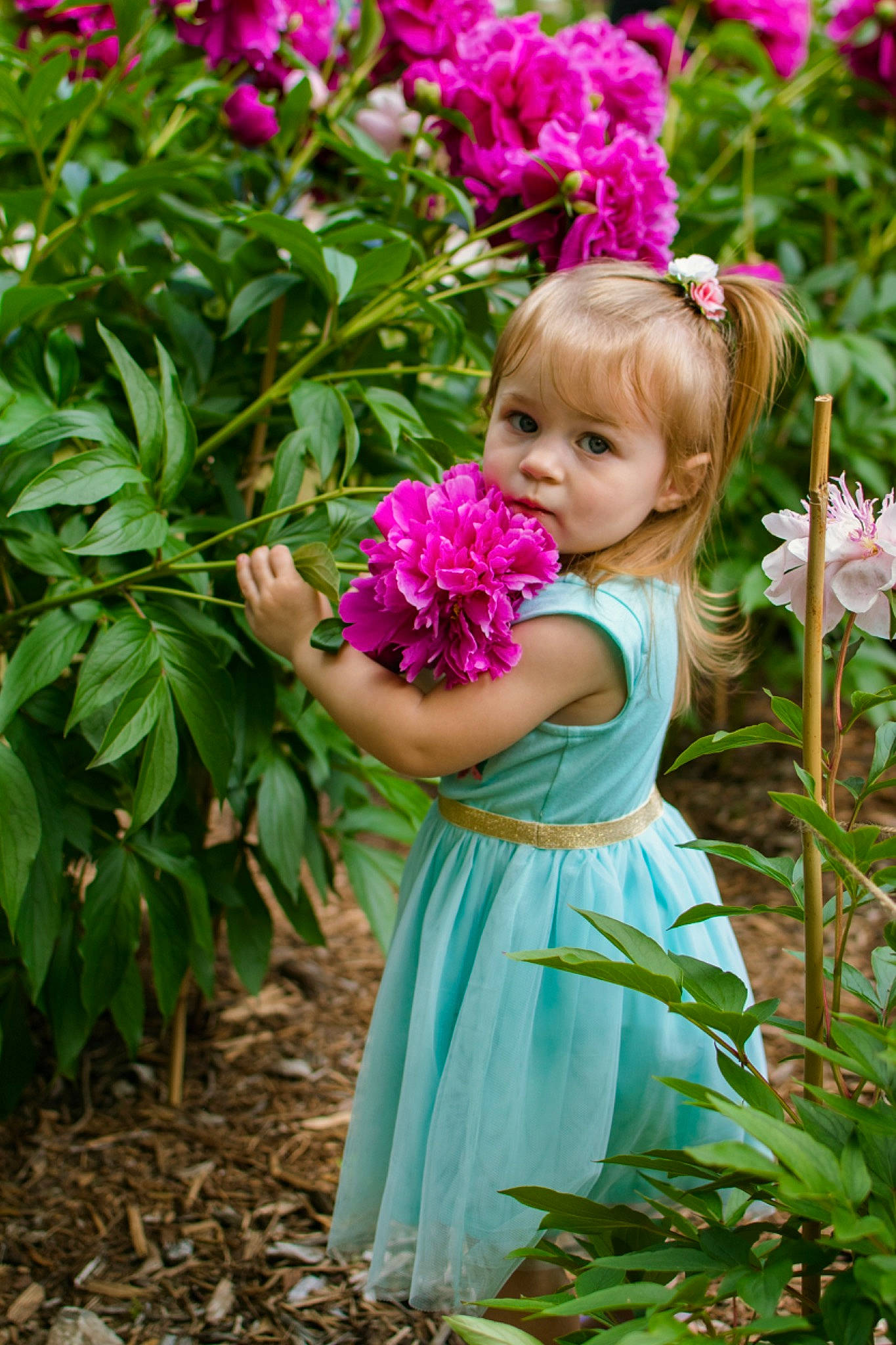 Lillyonna is registered to the contest to win money with this photo: blond, botany, child, chinese_peony, dress, flower, flowering_plant, garden, impatiens, magenta, peony, person, petal, photo_shoot, photography, pink, plant, shrub, spring, toddler