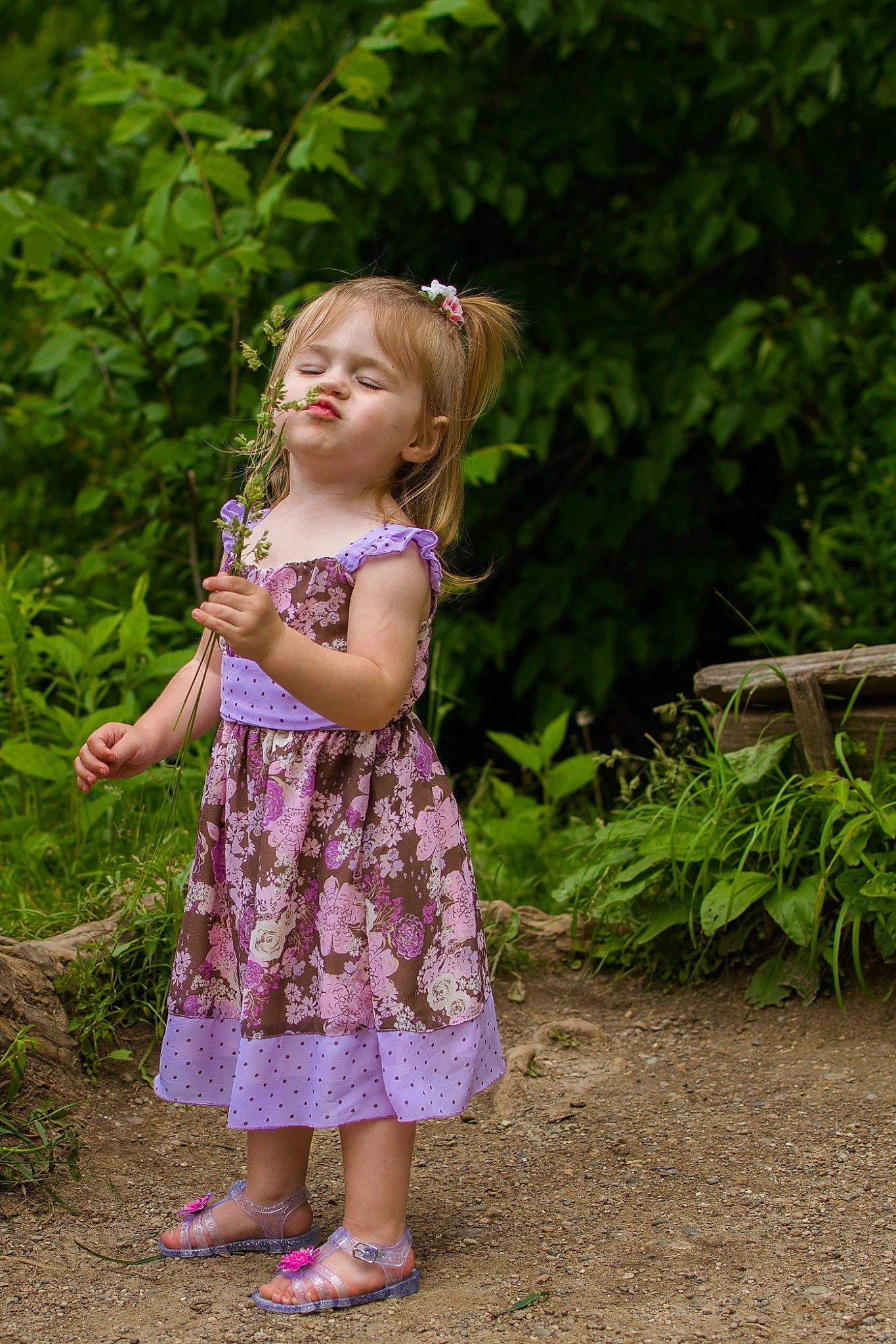 Lillyonna is registered to the contest to win money with this photo: child, child_model, dress, flower, grass, green, headwear, pattern, person, photography, pink, plant, play, purple, skin, smile, spring, summer, toddler, vacation