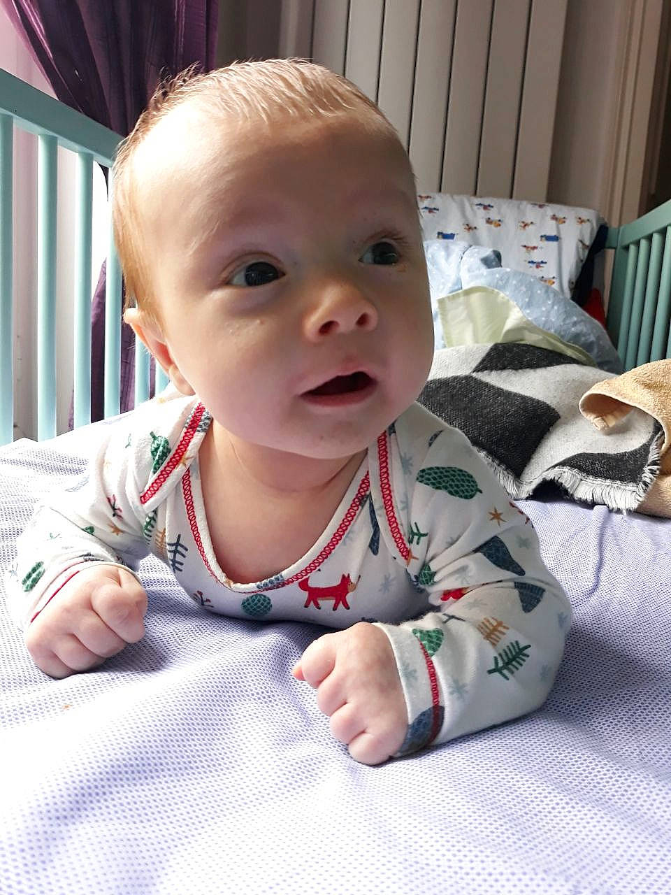 Ernest a rejoint le concours — aidez-le/la à gagner de superbes lots ! baby, cheek, child, chin, eye, face, facial_expression, forehead, head, lip, mouth, nose, outerwear, person, sitting, skin, sleeve, smile, toddler, tummy_time