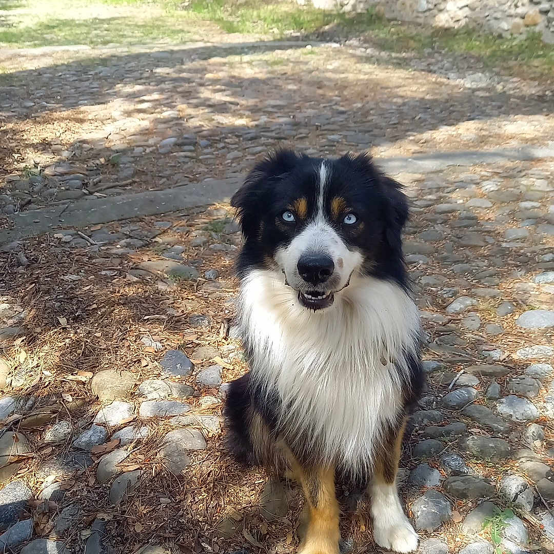 Ulko