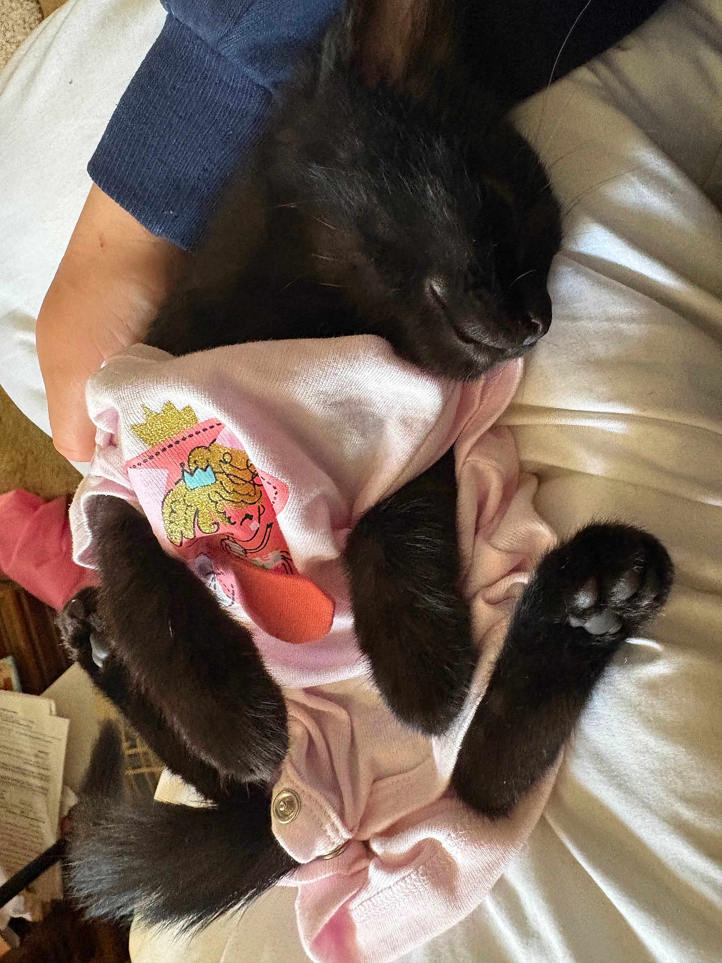 Bug is registered to the contest to win money with this photo: black_kitten, sleeping, pink_onesie, cartoon_print, hand, nap, cute, pet, feline, soft_fabric, cozy, indoor, resting, animal, fur, paw, cute_clothing, human_hand, relaxation, adorable