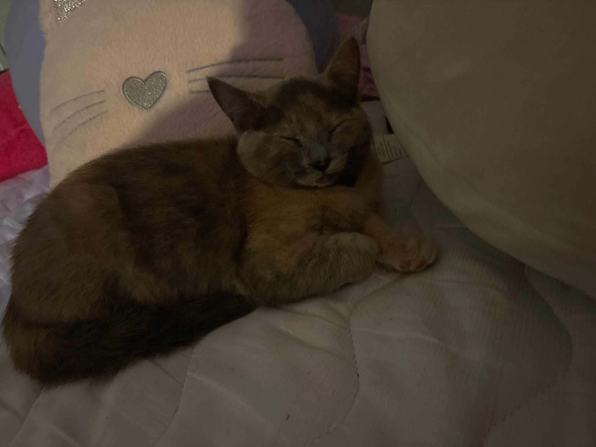 Princess Bean