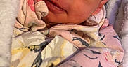 Arielle joined the competition — help win amazing prizes! baby, blanket, bodypart, clothing, face, finger, glove, hand, head, newborn, person, photography, portrait, quilt, sleeping, towel