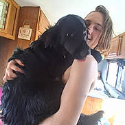Millie joined the competition — help win amazing prizes! person, dog, indoor, hugging, black_dog, wooden_cabinet, window, natural_light, happy, affection, pet, animal, fur, tongue_out, young_adult, casual, smile, home, cozy, arm