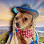 adventure, animal, canine, cap, clothing, dog, face, hair, hat, head, hiking, leisureactivities, nature, outdoors, person, pet, photography, portrait, puppy, sky
