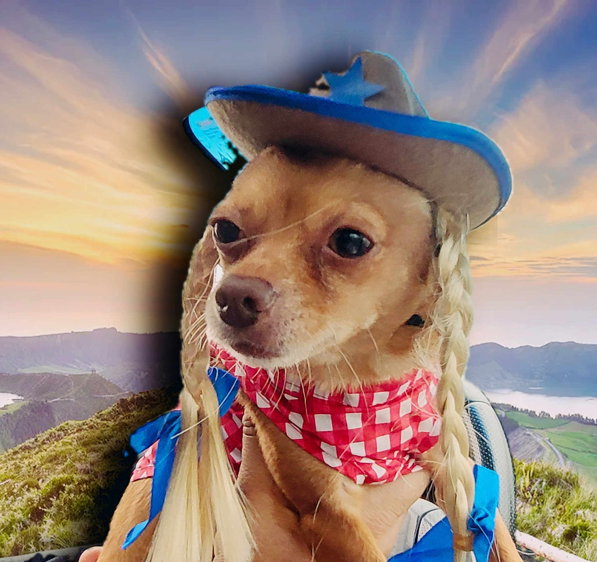 Penny joined the competition — help win amazing prizes! adventure, animal, canine, cap, clothing, dog, face, hair, hat, head, hiking, leisureactivities, nature, outdoors, person, pet, photography, portrait, puppy, sky