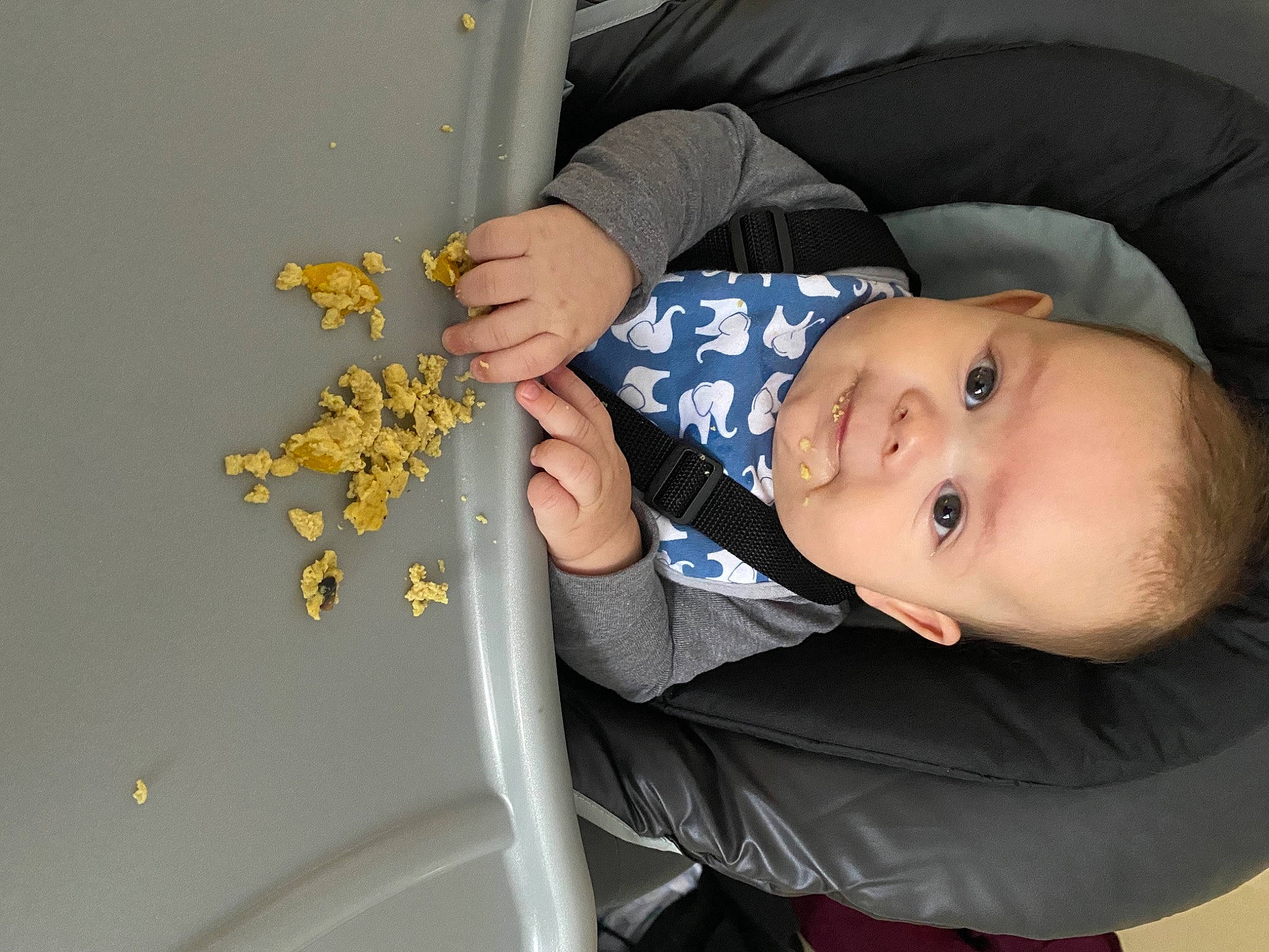 Kurt is registered to the contest to win money with this photo: baby, baby_products, baby_toddler_clothing, cheek, child, comfort, design, elbow, electric_blue, finger, gesture, nail, person, plant, sitting, sleeve, smile, thumb, toddler, tree