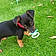 Ares