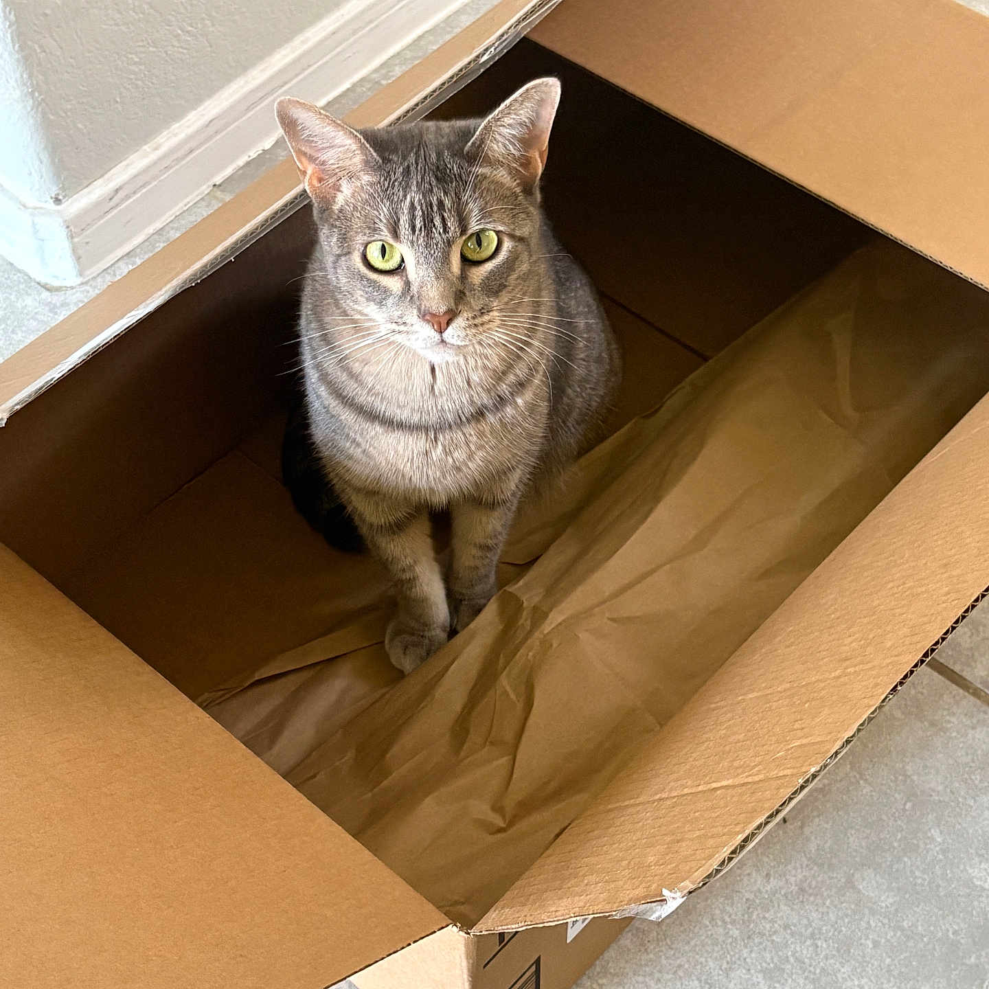 Mimi