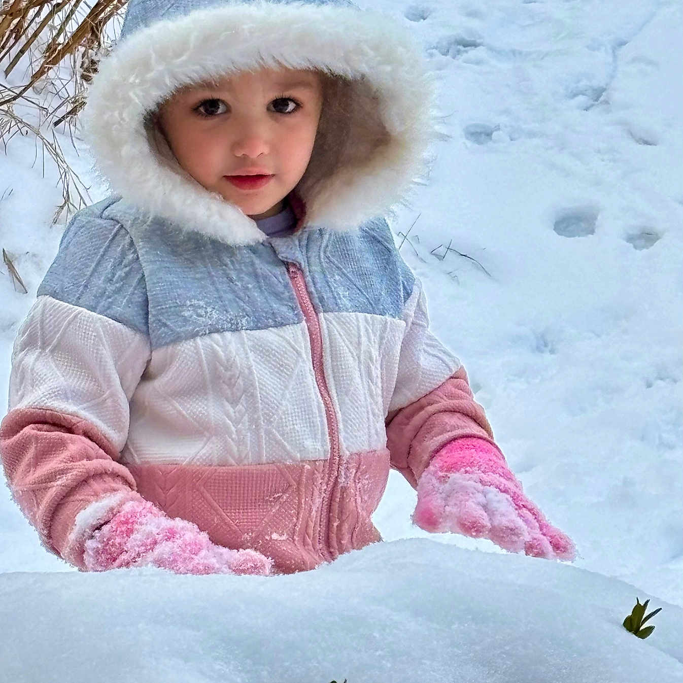 Addie Mae joined the competition — help win amazing prizes! baby, bonnet, cap, clothing, coat, face, glove, hat, head, hood, hoodie, jacket, knitwear, nature, outdoors, person, photography, portrait, sweater, sweatshirt