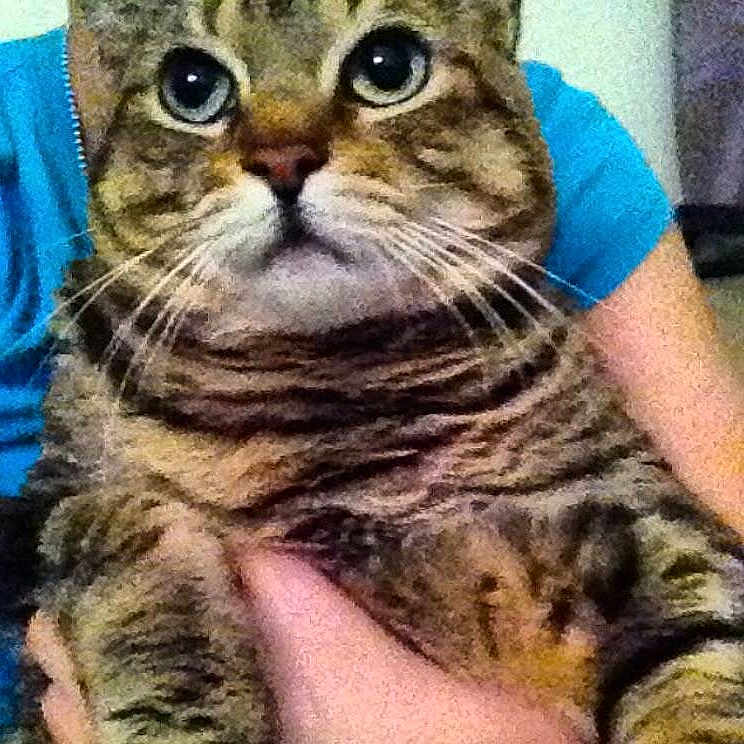 Savannah is registered to the contest to win money with this photo: