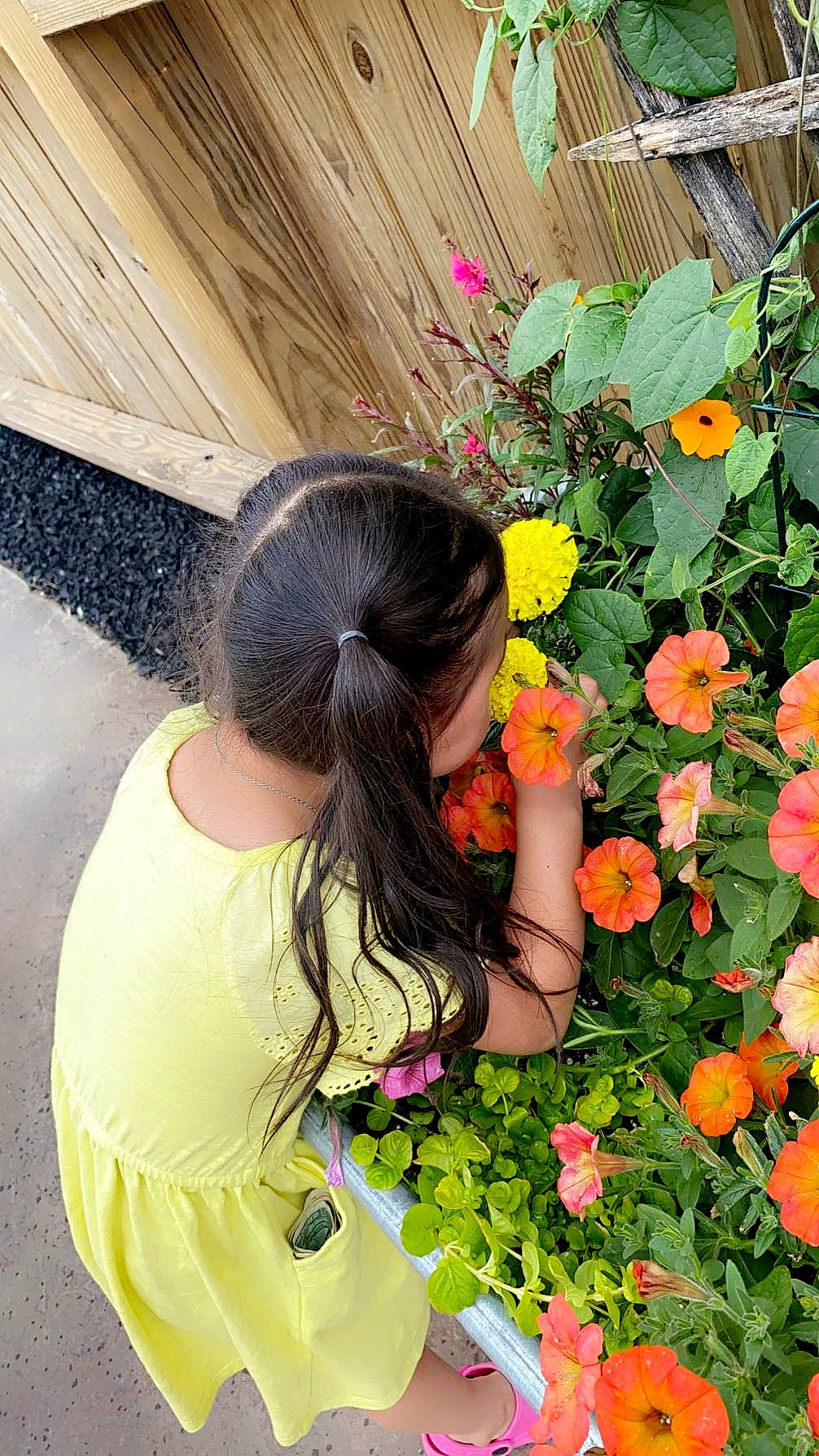 Mariela is registered to the contest to win money with this photo: annual_plant, beauty, bun, fashion_accessory, floral_design, floristry, flower, flower_arranging, flowering_plant, garden, grass, groundcover, happy, jewellery, leaf, people_in_nature, person, petal, plant, shrub