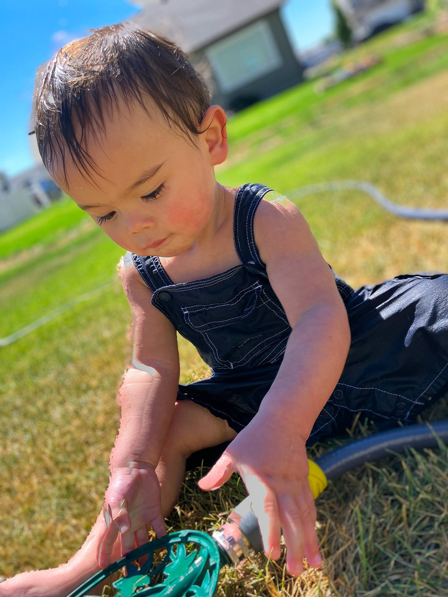 Creed is registered to the contest to win money with this photo: baby_toddler_clothing, beauty, dress, fun, grass, grass_family, grassland, hand, happy, human_leg, lawn, leaf, leisure, pattern, people_in_nature, person, recreation, sky, thigh, toddler