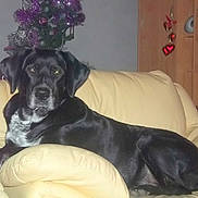 DINA participe au concours pour gagner de l'argent avec cette photo :