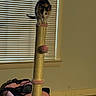 Willow joined the competition — help win amazing prizes! animal, balancing, black, blinds, calico, cat, cozy, curious, feline, floor, home, indoor, kitten, pet, pet_carrier, pink, playful, scratching_post, toy, window