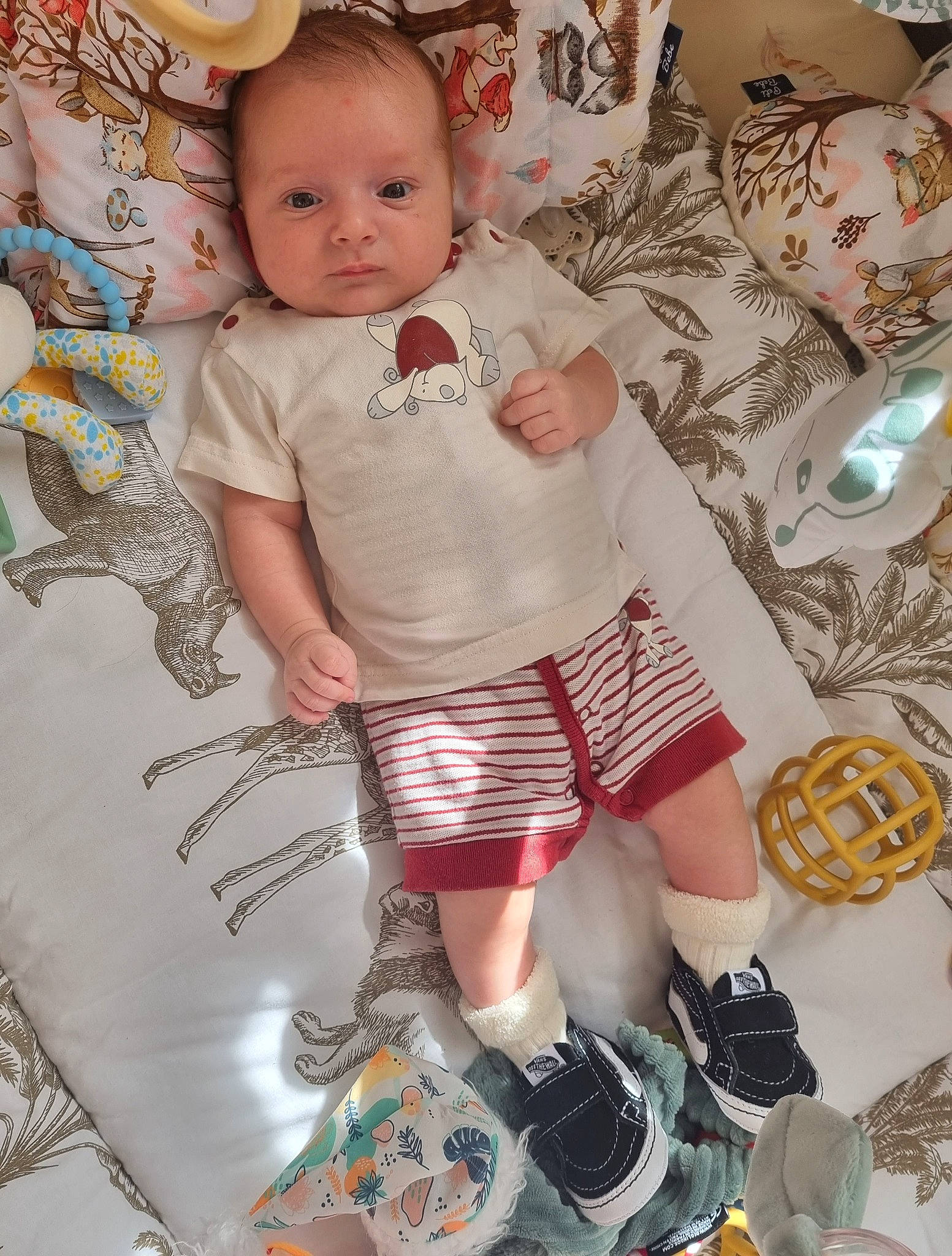 Jules a rejoint le concours — aidez-le/la à gagner de superbes lots ! baby, baby_toddler_clothing, cheek, child, happy, human_leg, knee, linens, pattern, person, plaid, room, shorts, sleeve, sock, t_shirt, tartan, textile, thigh, toddler