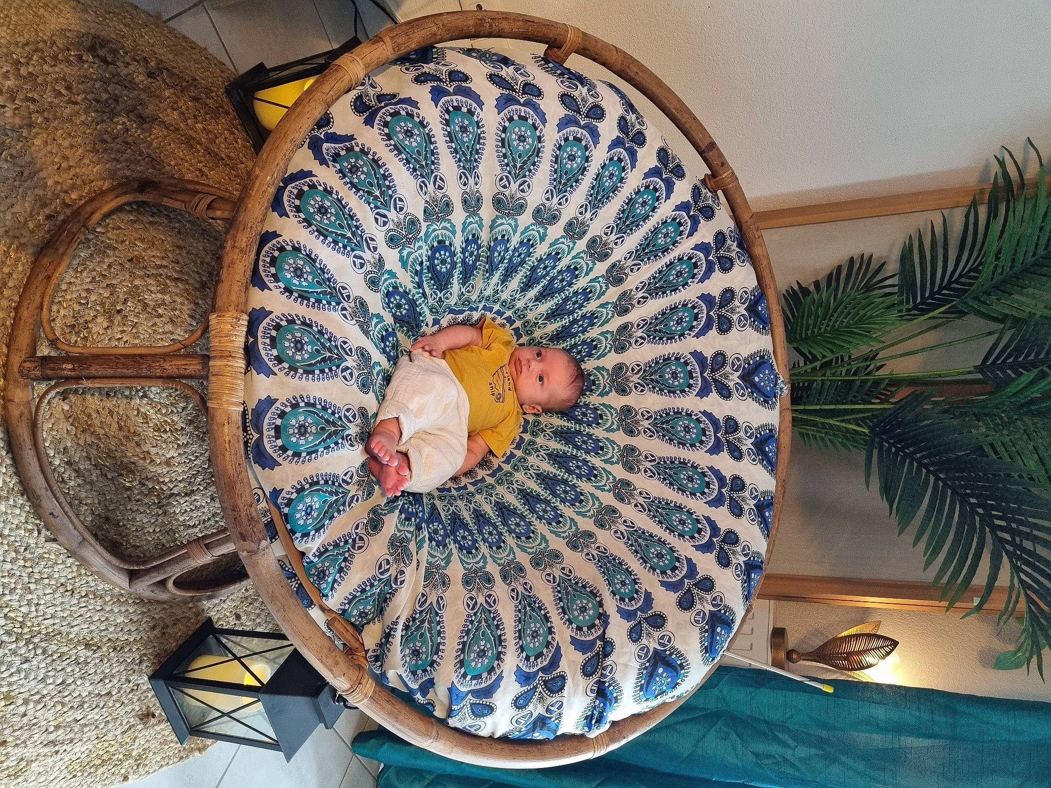 Jules a rejoint le concours — aidez-le/la à gagner de superbes lots ! auto_part, automotive_tire, automotive_wheel_system, ceiling, circle, conifer, decoration, dishware, fashion_accessory, home_accessories, pattern, person, plant, serveware, symmetry, thread, tree, wood