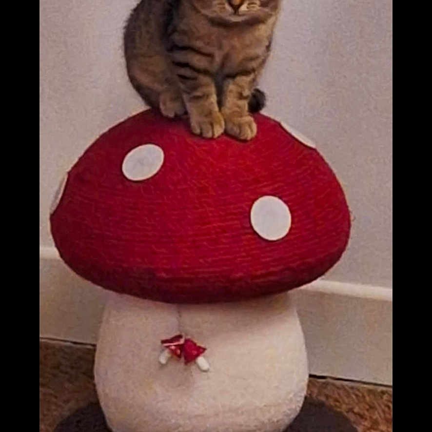 Clochette