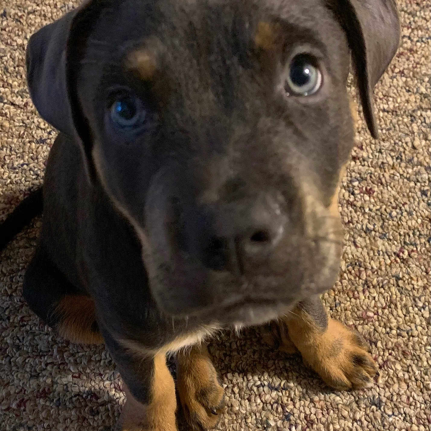 Jax