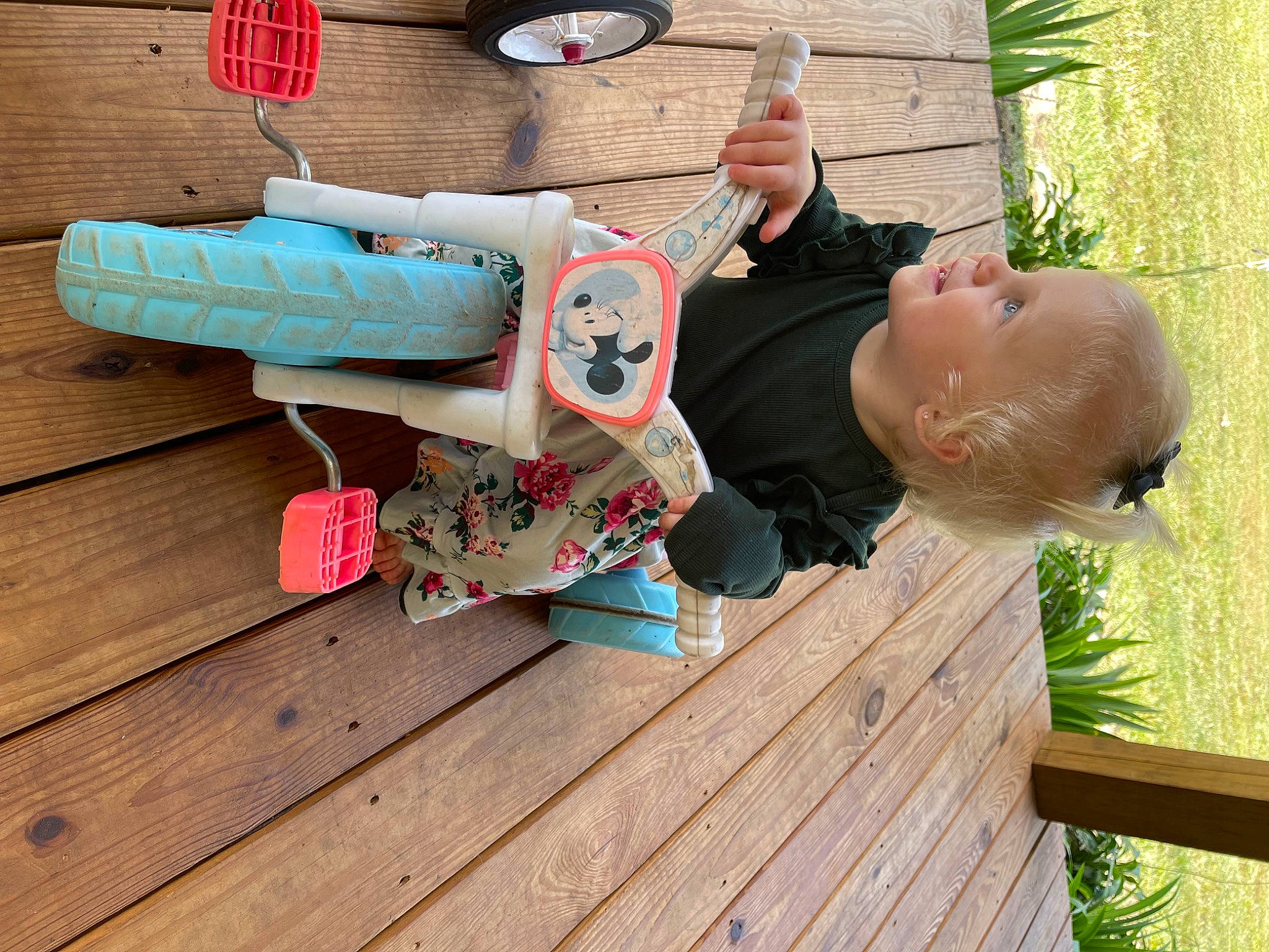Blakely is registered to the contest to win money with this photo: arm, baby, baby_products, child, flooring, fun, grass, green, happy, hardwood, leisure, person, plant, sitting, stuffed_toy, toddler, toy, tree, wood, wood_flooring