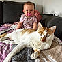 baby, pacifier, cat, sofa, blanket, pink, white, orange, fur, cute, child, indoor, resting, pet, cozy, home, smiling, person, animal, relaxing