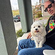 Luke is registered to the contest to win money with this photo: casual_clothing, daylight, dog, green_pillar, house, jeans, leisure, man, outdoor, pet, plants, porch, relaxing, residential, road, seat, smiling_dog, sunglasses, vehicle, white_dog