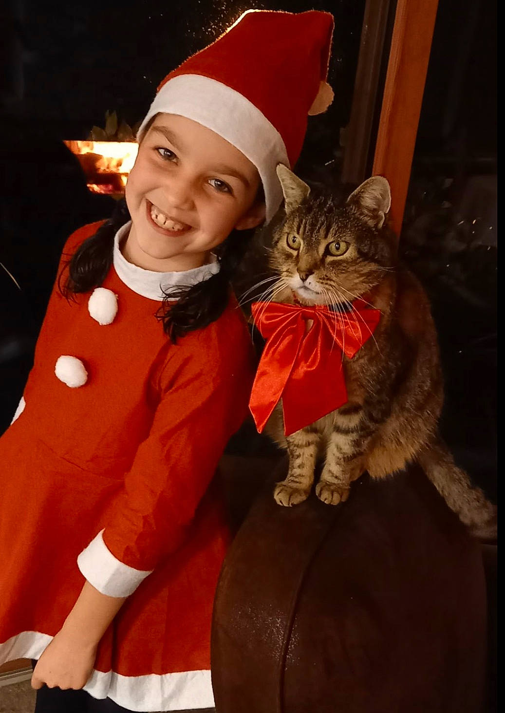 Dallas participe au concours pour gagner de l'argent avec cette photo : carnivore, cat, christmas, christmas_decoration, costume_hat, event, felidae, formal_wear, fun, fur, glove, happy, hat, headgear, holiday, lap, small_to_medium_sized_cats, smile, textile, whiskers