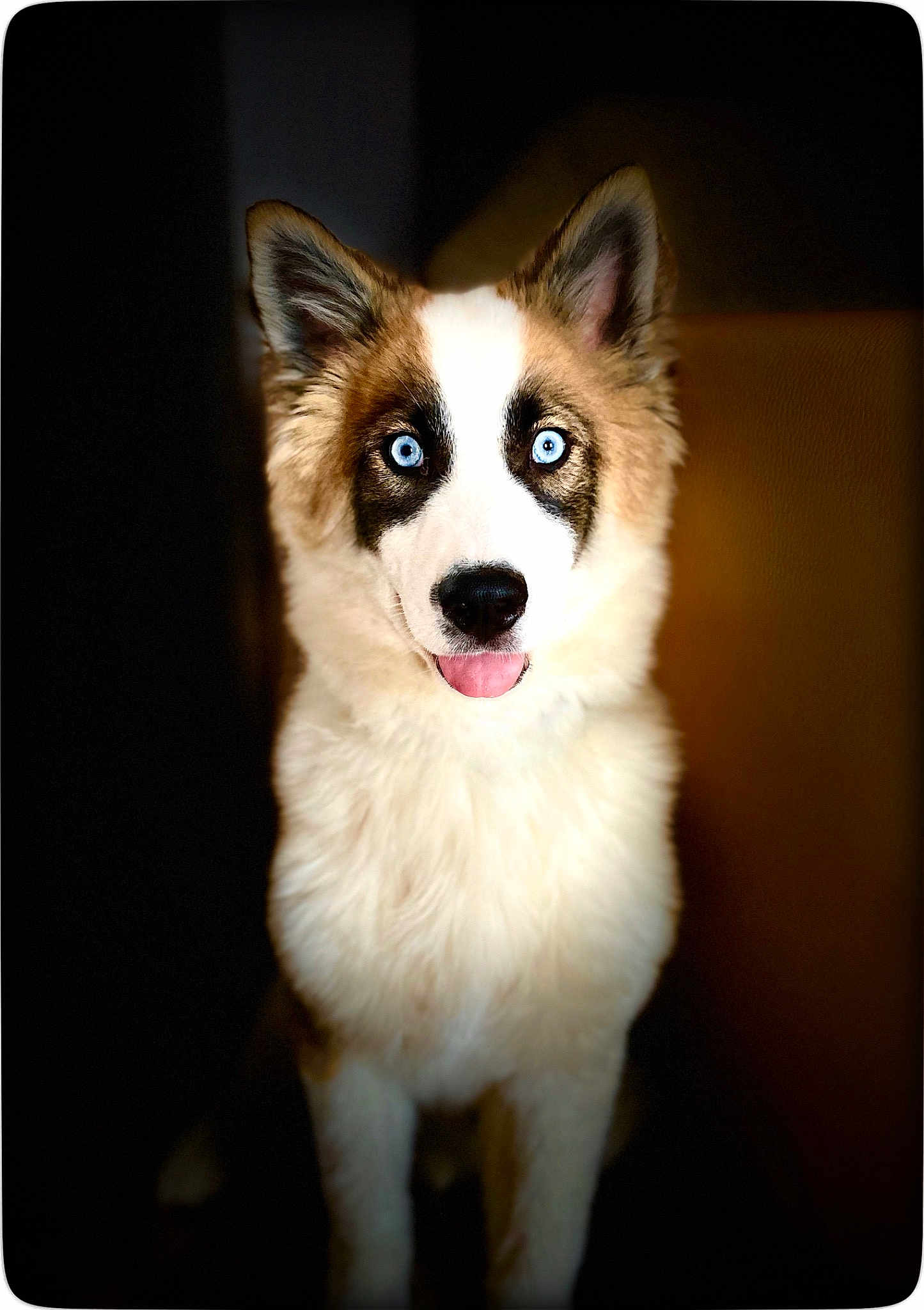 Willow Belle