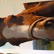 Urany participe au concours pour gagner de l'argent avec cette photo :