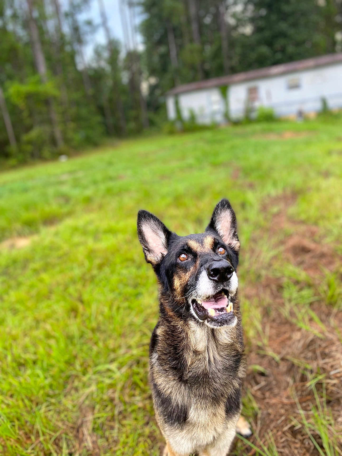 Zeus